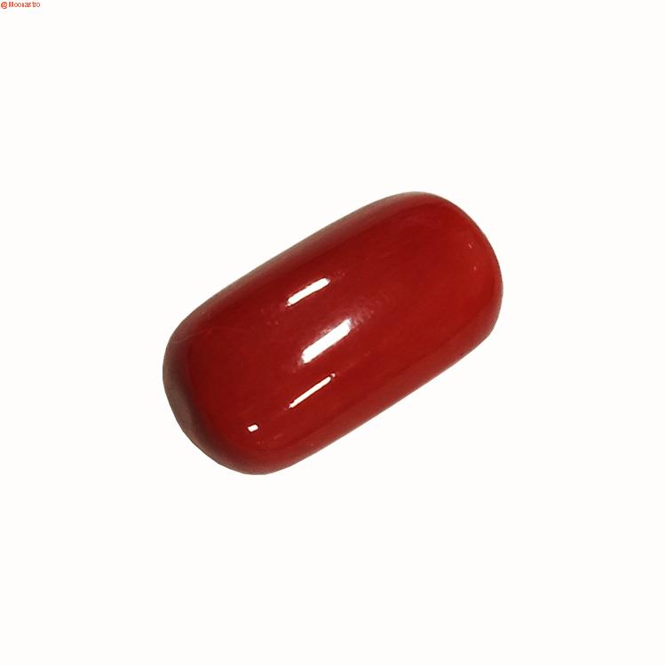Red Coral Super Premium Extra Large Size
